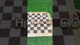 Tình huống hoà cờ khó hiểu và gây tranh cãi nhiều nhất #benrikids #boardgames #chess #covua