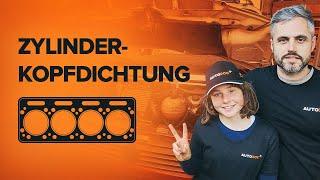 Wie man eine Zylinderkopfdichtung überprüft | AUTODOC