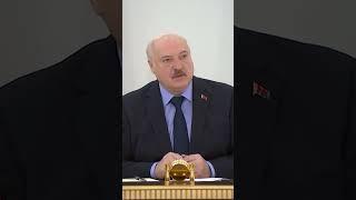 ️️️Куда отправил Лукашенко министра сельского хозяйства? #shorts