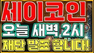 [세이코인 전망] " 마지막 반등 찬스 놓치지마세요!!" 아직 시작아닙니다!
