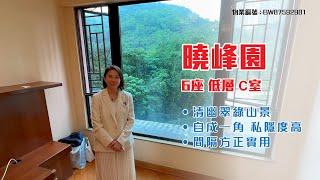 【#KOL睇真盤】Alice Chu 筍盤推介：曉峰園 6座 低層 C室