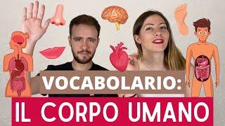 Vocabulary of the HUMAN BODY (parts & organs) in Italian (+ idioms) 