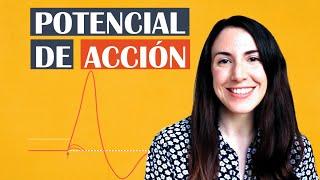 Qué es el potencial de acción — El diccionario del cerebro