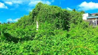 A Neighbor Tells - This House Has Been Buried For More Than 30 Years - Rapid Transformation