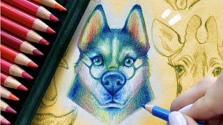 Real-Time Colour Pencil Sketchbook Drawing! Faber Castell POLYCHROMOS