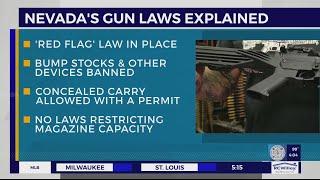 Nevada gun laws explained