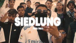 NGEE x O.G. Type Beat "SIEDLUNG" (prod. TRICO & Ke Fang)