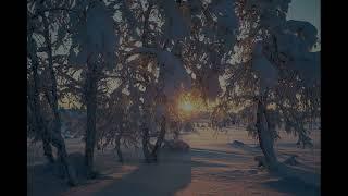 Черные подковы (Экспи)