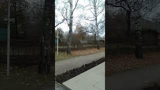 Это мы в Константиново. 12.11.2024.