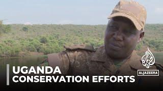 Uganda wildlife: Decades-long conservation efforts at risk