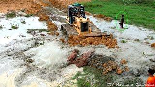 NEW Style Clearing Pond And Open Forest Cutting Step By Step Use Stronger KOMATSU D58P Pushing