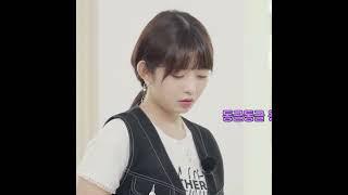 [IVE/병아리즈] 대홍단 감자 (원영X레이)