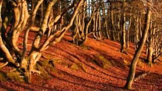 prelude i a minor by j.s.bach.recorded by jochen brusch & finn svit.wmv