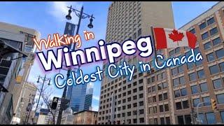 WALKING IN WINNIPEG DOWNTOWN || ROUTE 85 A.K.A. PORTAGE AVE || BISDAK IN CANADA