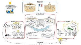 Dessine-moi l'éco : Qui fait la loi en France ?