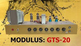Shower yourself in Golden Tone with a Modulus GTS-20 20Watt Plexi Amplifier!