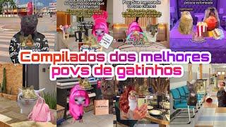 Os melhores compilados pov dos gatinhos #gatuxodospovs #povdosgatos #pov #memesgatos #meme #cat