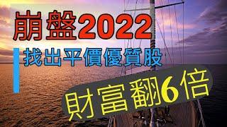 崩盤2022|財富翻倍|成長股分析|幫你財富翻6倍|中文字幕