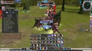 RF Online Playpark: Lvl 70 Berserker Full Crit (100% Stun) on PB