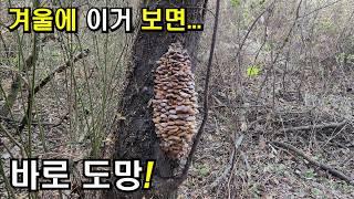 여러분! 겨울에 이거 보면 죽을 수 있다.