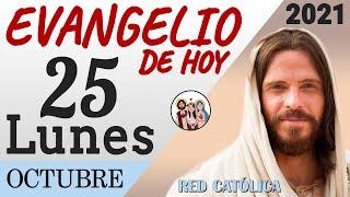 Evangelio de Hoy Lunes 25 de Octubre de 2021 | REFLEXIÓN | Red Catolica