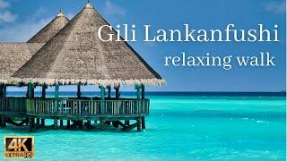 Virtual tour at Eco Luxury Resort｜Gili Lankanfushi Maldives - 4K with relaxing smooth jazz