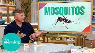 The ONLY Way To Stop Mosquito Bites With Professor James Logan’s Tips | This Morning