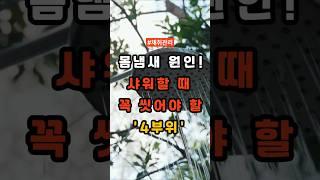 몸냄새 원인! 샤워할 때 꼭 씻어야 할 '4부위' #건강 #건강정보