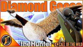 NEW SCOPES vs Yukon Valley! | Diamond Goose in theHunter Call of the Wild