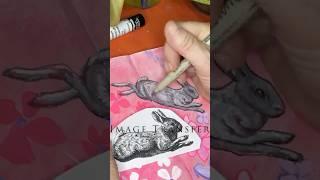 The Fastest Image Transfer Method #imagetransfer #natureartist #runrabbit