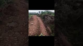 Riding Through the Heart of a Tea Plantation