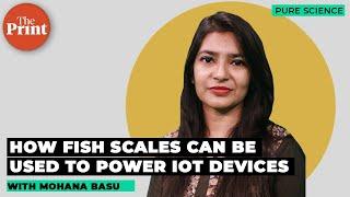 Punjab scientists show how fish scales could be used to power IoT devices