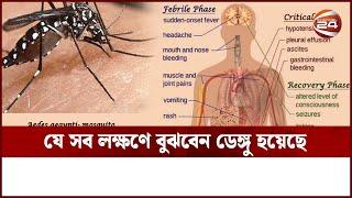 যে সব লক্ষণে বুঝবেন ডেঙ্গু হয়েছে | Dengue Symptoms | Channel 24