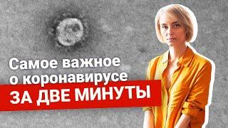 Самое важное о коронавирусе за две минуты | 161.RU