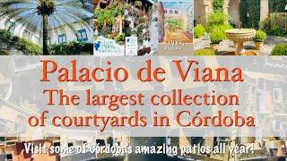 El Palacio de Viana - the largest selection of patios in Córdoba. OPEN ALL YEAR!