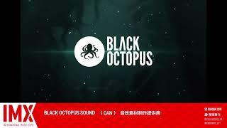 Black Octopus Sound │IMX Expo 2021