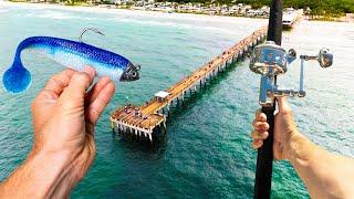 48 Hrs Chasing TROPHY Fish Off Public Piers! (Florida Snook Fishing)