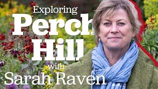 Step inside SARAH RAVEN'S garden for a TULIP tour