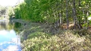 Homes for Sale - Lot 2 Myrick Lake Rd Danbury WI 54830 - Nancy Oakes