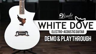 Lindo White Dove V3 Electro Acoustic Guitar | Demo and Playthrough