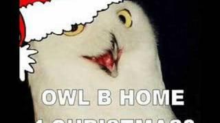 OWL B HOME 4 CHRISTMAS?