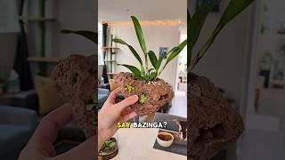 INSANE DIY Plant Creation 