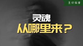 【探索】你知道嗎？靈魂其實就來自於那裏，寫有對於靈魂的答案的書