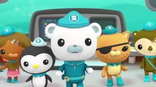 Octonauts: Creature Report - Marine Iguanas