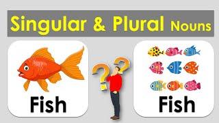 Singular and Plural nouns | with pictures in English for kids