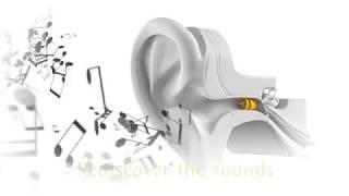 Allison Audiology and Hearing Aid Center, P.C.