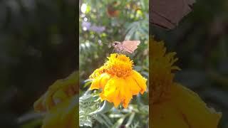 https://youtu.be/fCdS-UShx4c