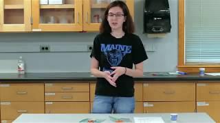 Activity 4: Variations in the Clam Species Clamys sweetus, Video 3