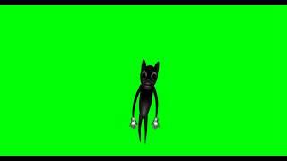 картун кет хромакей/cartoon cat green screen