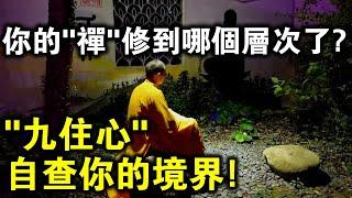 如何準確知道自己的“禪”修到哪個層次？“九住心”，禪修境界進度自查法！了解一下？